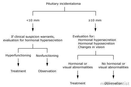 MRI of the pituitary gland