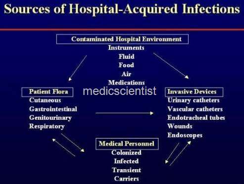 Hospital Acquired Infections  33