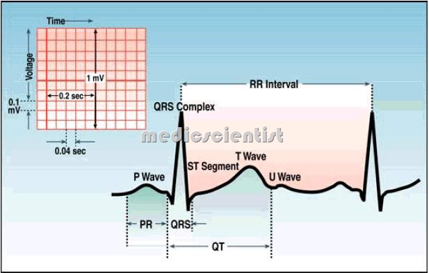 ECG introduction and other details 1