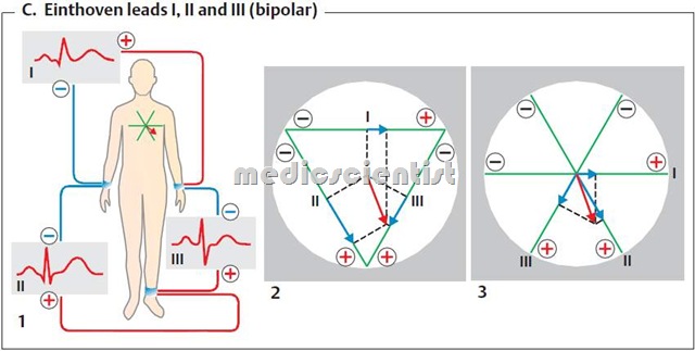 ECG introduction and other details 4