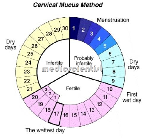 Contraceptives Natural Contraceptives Rhythm Method And Calendar Method Medicscientist Total Health Portal Quality Generic Medicines