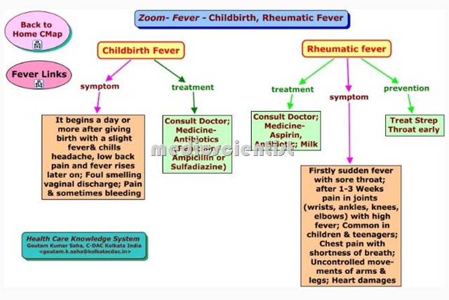 Rheumatic Fever  3