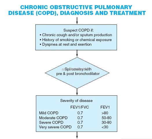 Chronic Obstructive Pulmonary Disease (COPD) 1