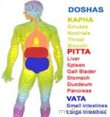 Body Dosha