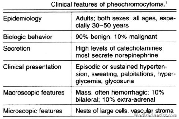 Pheochromocytoma Clinical Features
